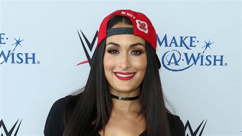 nikki bella net worth|Nikki Bella net worth: How many businesses does the。